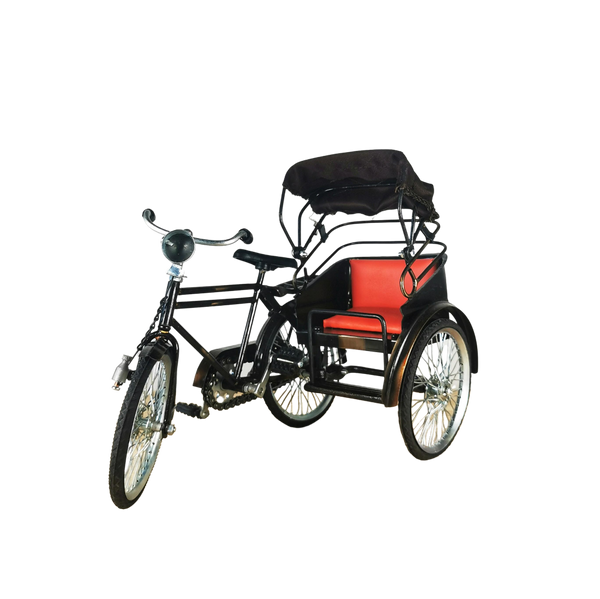 vélo carrosse