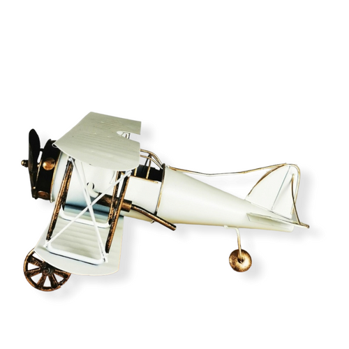 avion miniature grand modele