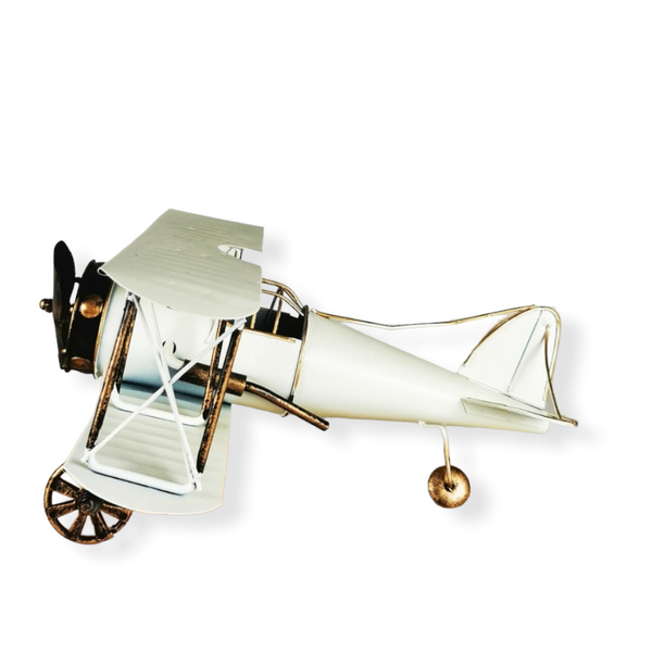 avion miniature grand modele